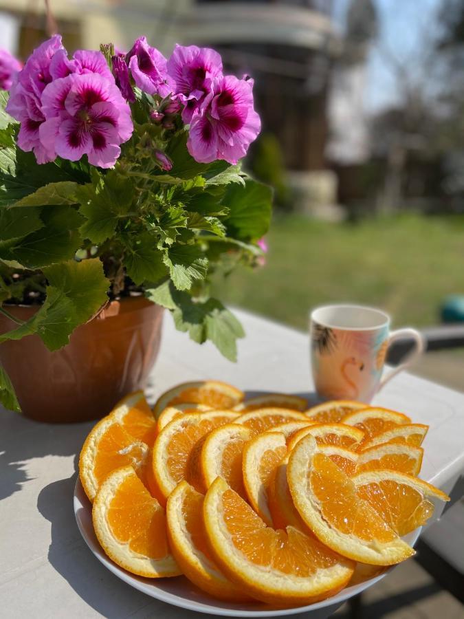 科布列季 科布莱蒂旅馆酒店 外观 照片
